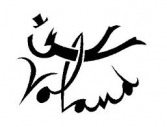 logo_voland